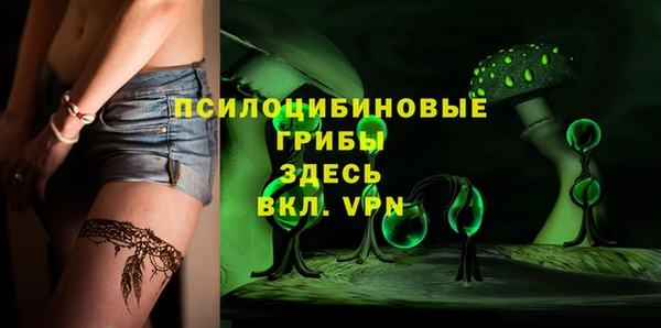 PSILOCYBIN Абинск