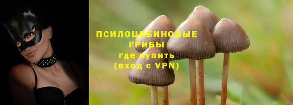 PSILOCYBIN Абинск