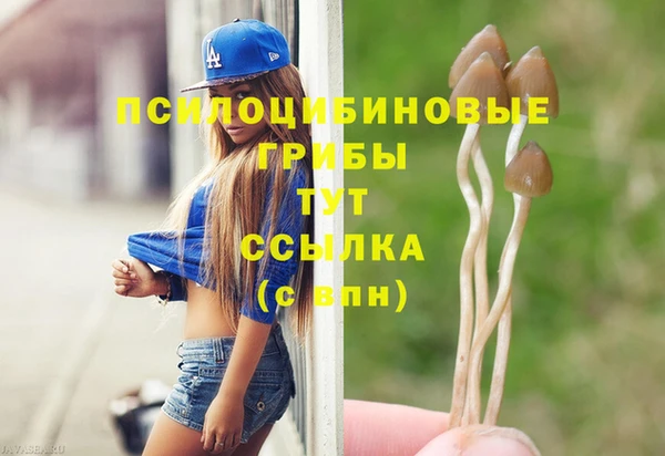 PSILOCYBIN Абинск
