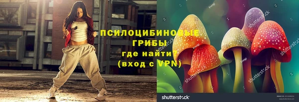 apvp Ростов