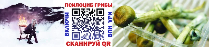 блэк спрут ссылка  Железноводск  Галлюциногенные грибы MAGIC MUSHROOMS 